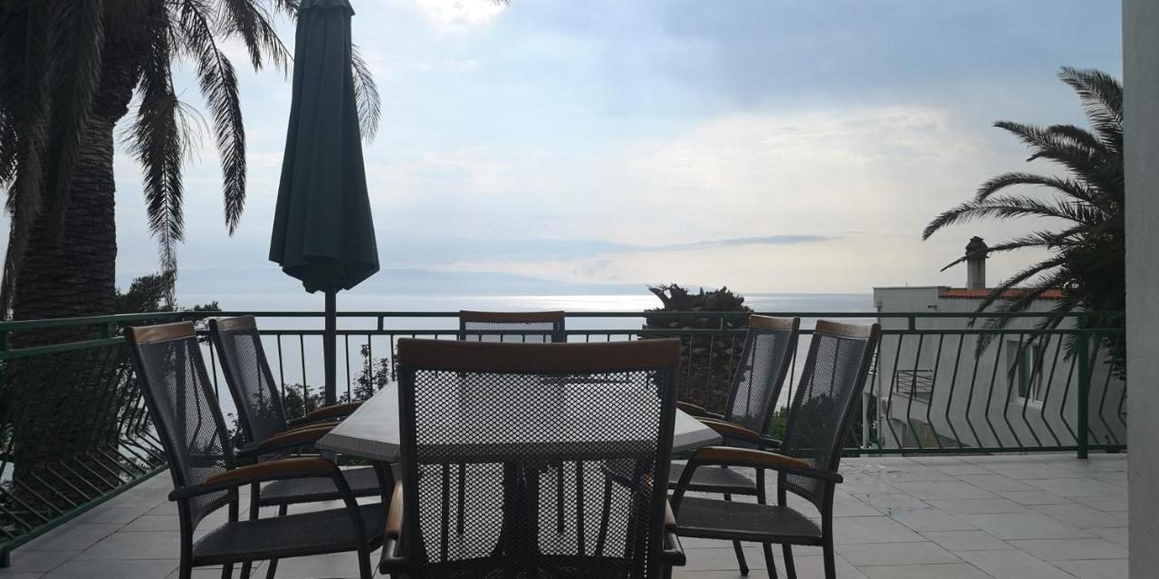 Apartment Tri Palme