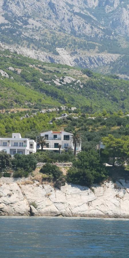 Apartment Tri Palme