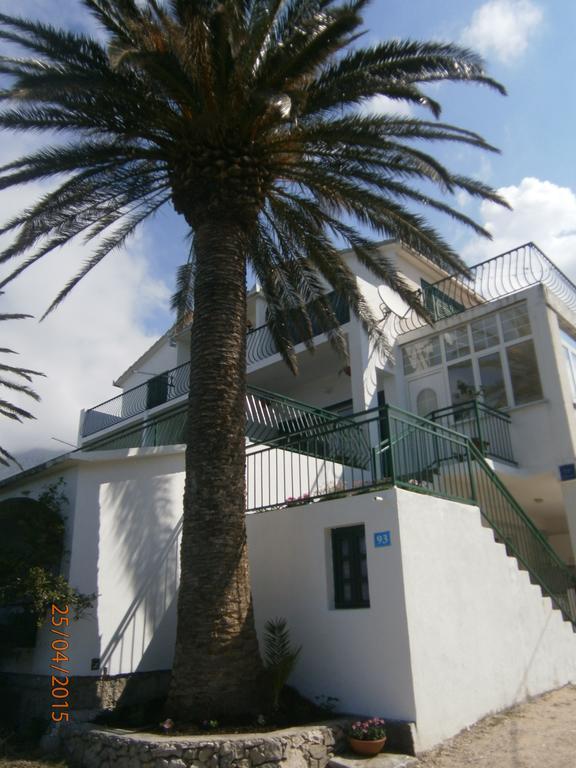 Tri Palme