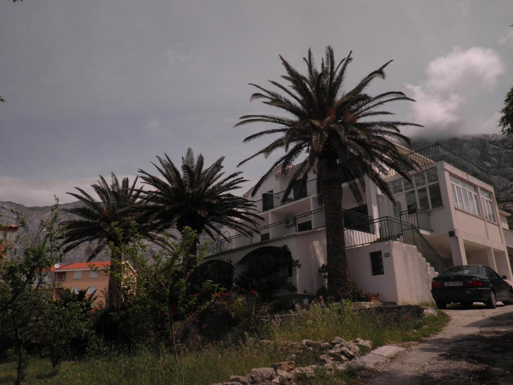 Apartment Tri Palme